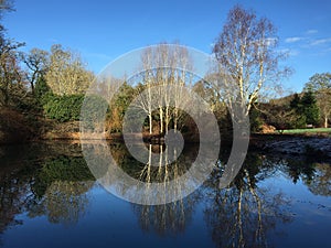 Lake at RHS Rosemoor