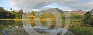 Lake and the ricefields photo