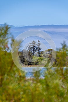 Lake Richmond is an an important ecosystem for thrombolites and waterbirds