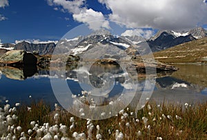 The lake Riffelsee, mountains and a cotton field in the foreground, on a mountain Gornergrat, in Switzerland