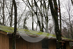 Lake, river and forest view