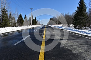 The lake road in spring