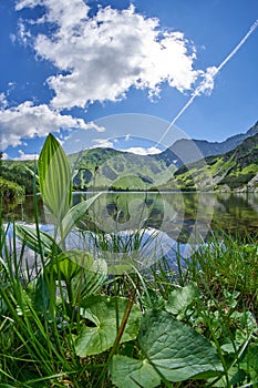 Lake Rohacske plesa, West High Tatras Mountains, Slovakia in Summer