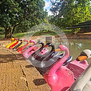 Lake of the Roses in Goiania Goias, containing a la with pedal boats