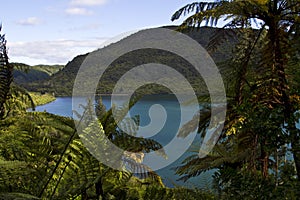 Lake Rotokakahi (Green Lake), Rotorua, New Zealand