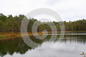 Lake in Russian forest