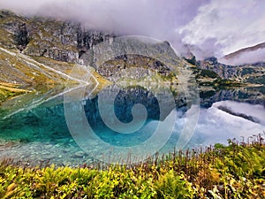 Lake`s view. Nature filled with rivers, mountains, trees. A headland in the middle of the lake. Beautiful nature scenic landscape