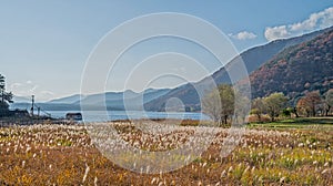 Lake Saiko with grass field