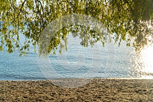 Lake and Sand under Weeping Willow Branches