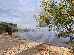 Lake sand wild natural beach in Lacanau Gironde Aquitaine