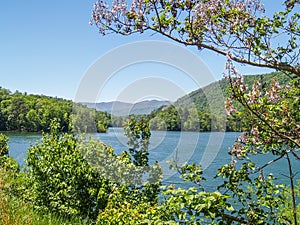 Lake Santeetlah in Great Smoky Mountains National Park