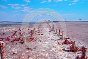 Lake Sasyk Sivash. Extremely salty lake. Pillars from an old destroyed wharf