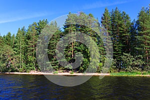 Lake scape in Finland at summer day