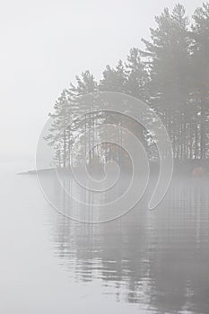 Lake scape and opposite shore forest at dawn
