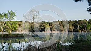 Lake scene with jetty, trees in springtime, still waters