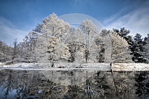 Lake scene in winter