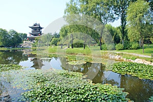 Lake scenery