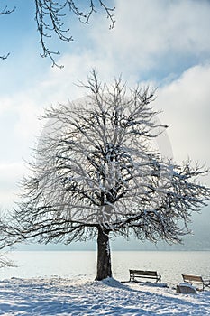 Lake Schliersee in the Bavarian Alps in Germany on a cold winter day