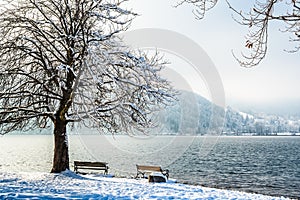 Lake Schliersee in the Bavarian Alps in Germany in winter