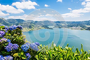 Lake of Sete Cidades with hortensia's, Azores