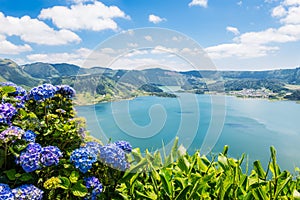 Lake of Sete Cidades with hortensia's, Azores photo