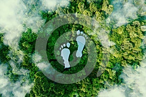 A lake in the shape of human footprints in the middle of a lush forest