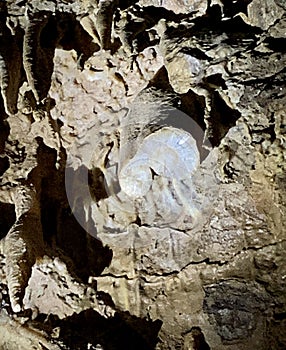 Lake Shasta cavern