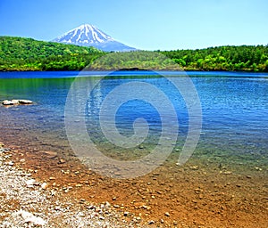 Mount Fuji from Lake Shoji