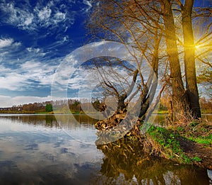 Lake shore and a beautiful cloudscape