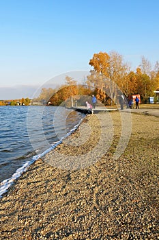 Lake shore, blue sky and yellow autumn trees.