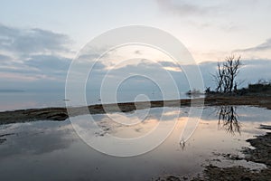 A lake shore at dawn, with beautiful tree and sky reflections on