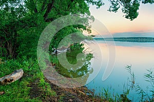 Lake shore with grass and snags on the edge, large trees and their reflection in the water, evening sky