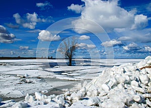 Lake shore, lake surface covered with ice, lonely tree on lake shore, early spring in nature