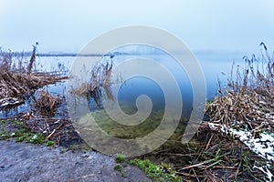 Lake shore with reeds on a foggy day