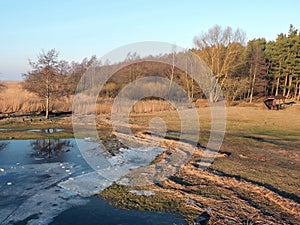 Lake shore in spring