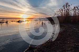 Lake shore at sunset, with trees and branches coming out of water, and a beautiful sky with warm, colorful tones.