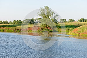 Lake shore with a tree on a sunny evening