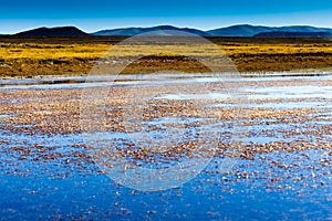 Lake shore of Zhari Namco