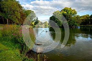 Lake shores in park, Birmingham, England