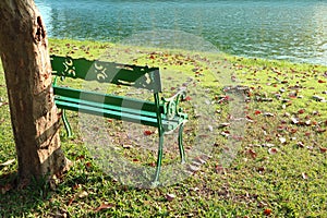 Lake Side Empty Bench under the Big Tree