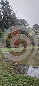 The Lake-side Fall Reflection