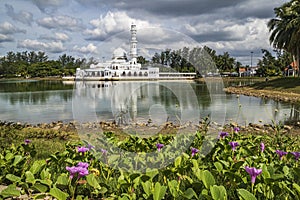 Lake side flowering vegetation with Kuala Ibai Floating Mosque and its reflection in the background. photo