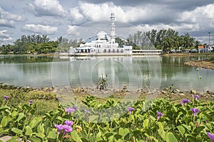 Lake side flowering vegetation with Kuala Ibai Floating Mosque and its reflection in the background. photo