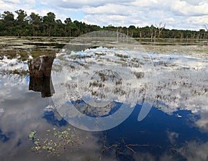 Lake on side way to Neak Pean photo