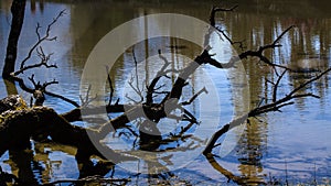 A Lake in Siguniang Mountain, China