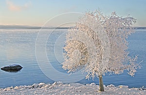 Lake Siljan in RÃÂ¤ttvik, Sweden photo