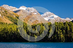 Lake Sils Grisons, Switzerland on a sunny autumn afternoon