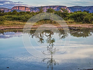 a lake with a small tree and mountains in the background