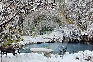 By Lake in the Snow