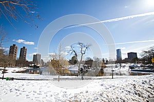 Lake and snow at Central Park and Buildings in Manhattan